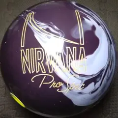 ☆美品♪☆ブランズウィック ニルヴァーナ・プロスペック 15ポンド