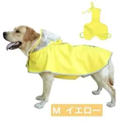 Item thumbnail for item 60131b03-1aa2-4dae-aee7-934087e89366