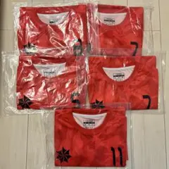 Item thumbnail for item 898ab3d5-00da-44b5-a56f-a0f72a40f2ef