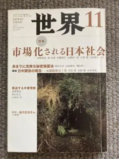 世界 11 SEKAI 岩波書店　2013 November no.849