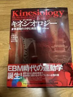 オーチス キネシオロジー item_rf036_03.jpg