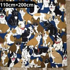 オックス生地 フレブル 110cm×200cm