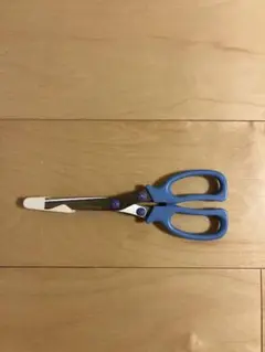 Item thumbnail for item 0efa4fa1-a4c9-470d-91a5-3f3207266c1a