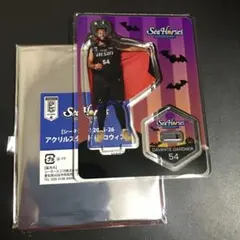 Item thumbnail for item 78dfae87-03c3-40a7-a7bb-2ab1d5ccd2b2