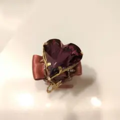 コンプレックスビズ　ハートクリップ中