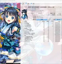 中古品-正常動作確認済 WESTERN DIGITAL WD20EARS 2TB