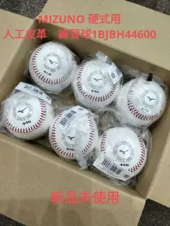 MIZUNO 硬式用　人工皮革　練習球 1BJBH44600　新品　硬式ボール
