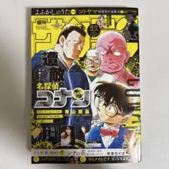 週刊少年サンデー 2025年7月30日号 33号 no.33
