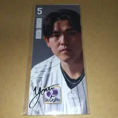 千葉ロッテマリーンズ 5 安田尚憲選手 フォトシール