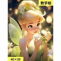 数字絵　ペイントバイナンバー　可愛い妖精　40×30