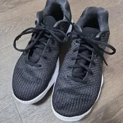 Item thumbnail for item 7b10dec5-5037-41e4-b18c-daef50bb06cb