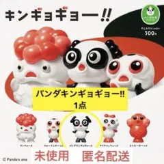 パンダキンギョギョー