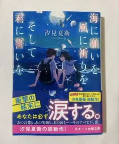 海に願いを 風に祈りを そして君に誓いを