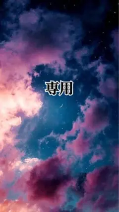 専用