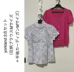 Item thumbnail for item 8f24271b-7f4a-45ee-83ae-552bef514ee4