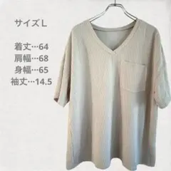 リブ編み Vネック 半袖トップス L ベージュ