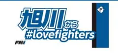 北海道日本ハムファイターズ　FAV タオル