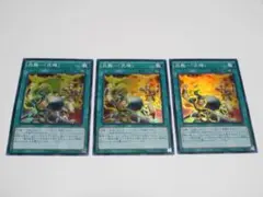 炎舞－「天キ」　スーパー　3枚set　c