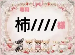 専用
