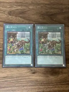 遊戯王OCG RC02-JP041 隣の芝刈り SR 2枚