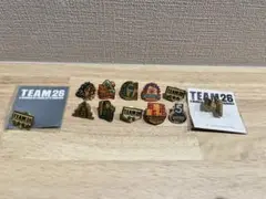 千葉ロッテマリーンズ　ピンバッジ