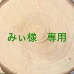 みぃ様　専用