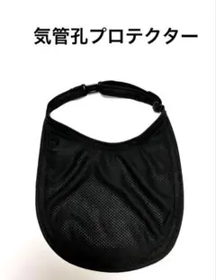 Item thumbnail for item 53443e68-aba7-481f-bb4a-d009ff757956