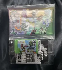 JR東日本スタンプラリー2025 STAGE2景品 メガルカリオポケモンフレンダ