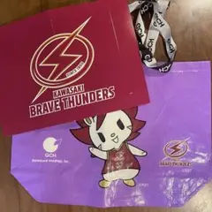 Item thumbnail for item 9db91363-cacc-4148-90a2-fcfd3e176f4c