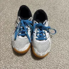 Item thumbnail for item 950c7bd0-ee00-45b3-bc93-edf4a93c19ca