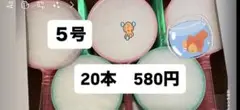 ポイ　５号　20本セット