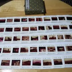 Item thumbnail for item c55457d8-0628-485f-8497-a78dfceca3e2