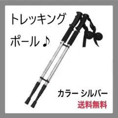 【★限定★】トレッキングポールシルバー