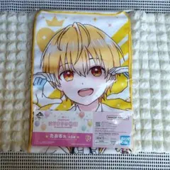 新品未開封一番くじ　るぅと　たおる賞