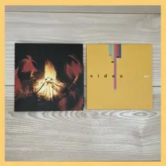 プレンティー　plenty CD2枚　アルバム