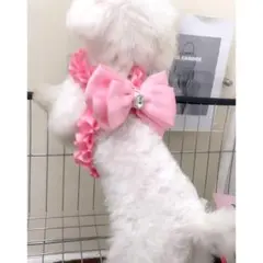 大きいリボン付♡フリフリレースのハーネスセット ピンク 3サイズ XS S M