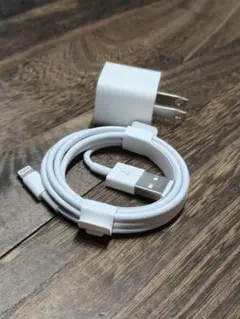 未使用品　Apple 付属品　 ライトニングケーブル　ACアダプター　4666