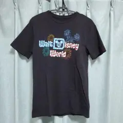 ウォルト・ディズニー・ワールド　半袖Tシャツ