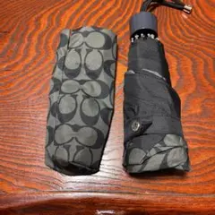 Item thumbnail for item 586e422a-d6c1-4402-a92c-c72282c695b5