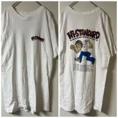 90s Fruit of the Loom/Hi-STANDARD tシャツ