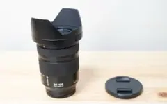 Item thumbnail for item 078085f9-bee0-47fb-bafb-a66772db6b1d