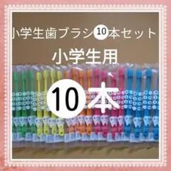 【494】歯科専売　小学生歯ブラシ　ふつう10本