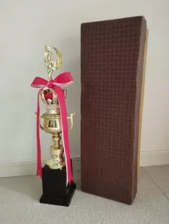 優勝 トロフィー 約40cm テニス 野球 サッカー カラオケ 合格祝い