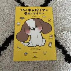 うちのキャバリアは番犬にならない