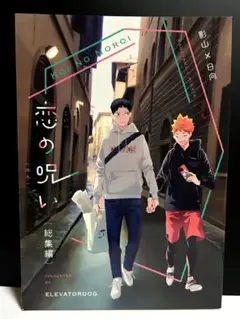 222p【恋の呪い総集編】 同人誌 影日 ハイキュー!!
