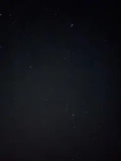 黒