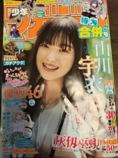 週刊少年マガジン