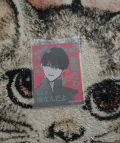 踏んだり、蹴ったり、愛したり　特典