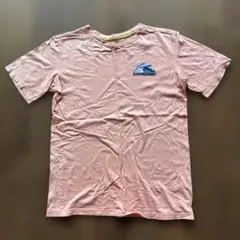 パタゴニアkids T-sh