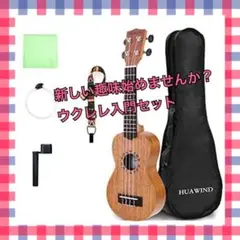 早い者勝ち❣️ ウクレレ ソプラノ 21インチ 初心者 入門セット